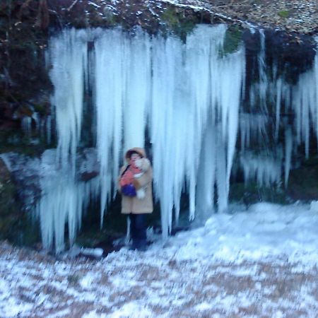 A L'Ombre De La Cascade Διαμέρισμα Lemberg Εξωτερικό φωτογραφία