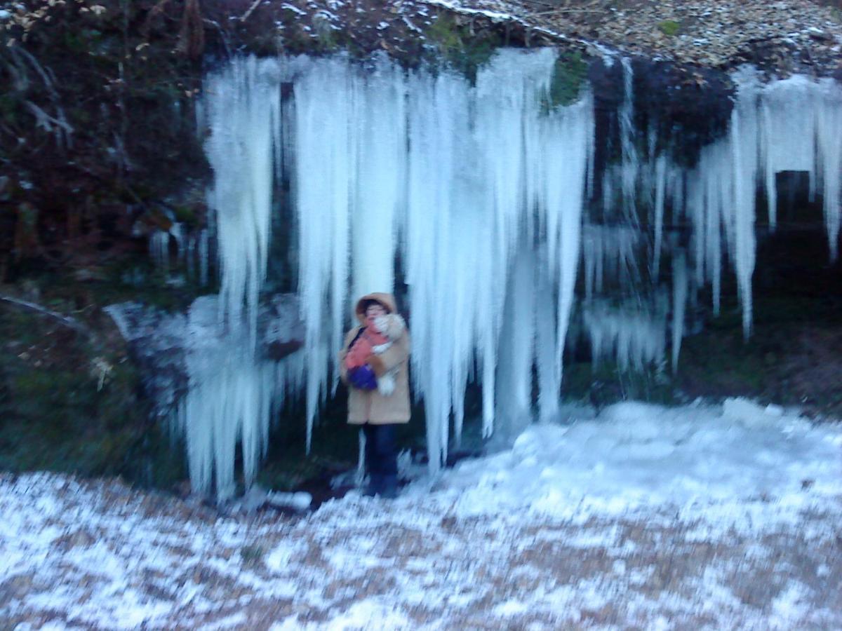 A L'Ombre De La Cascade Διαμέρισμα Lemberg Εξωτερικό φωτογραφία